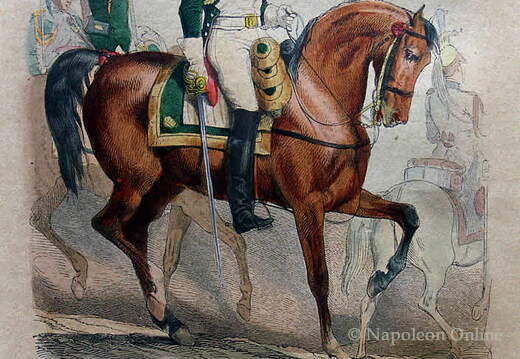 Garde - Dragoner, Offizier in großer Uniform 1810