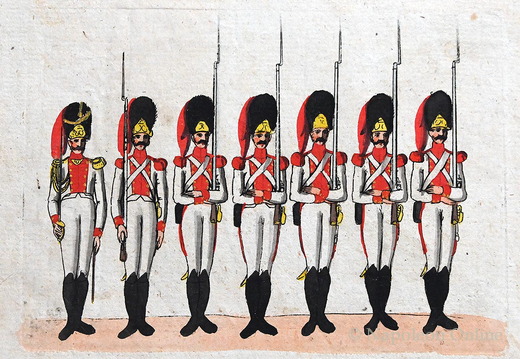 Spanien - Linieninfanterie, Grenadiere